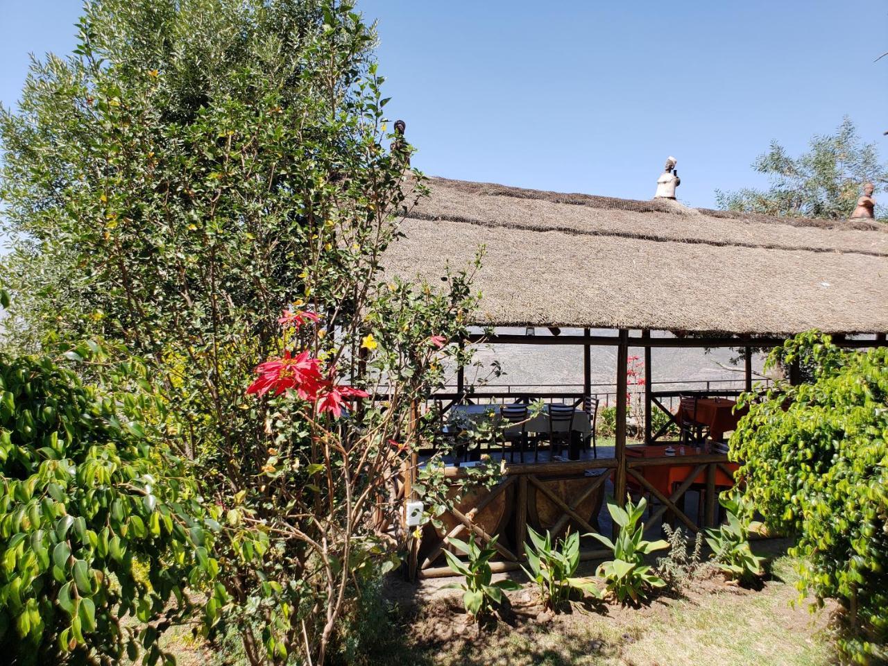 Top Twelve Hotel - Lalibela Exterior photo